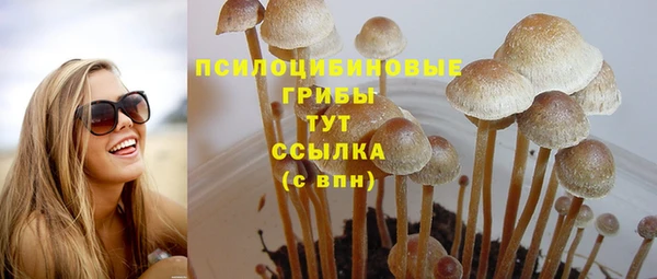 MESCALINE Белокуриха