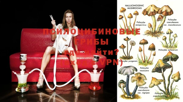 крисы Белоозёрский