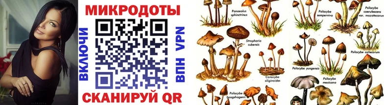 Купить где  Кириши  Галлюциногенные грибы ЛСД 